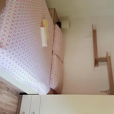 House Cvitina * 波斯蒂勒